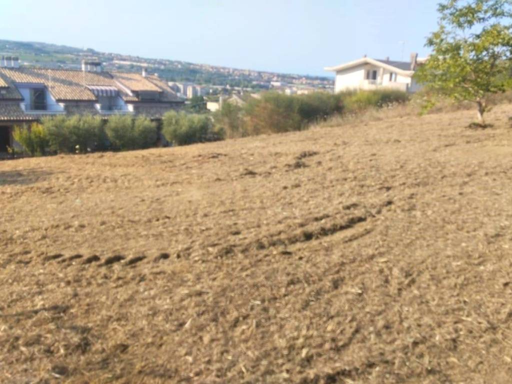 terreno agricolo in vendita a Pescara in zona Stadio