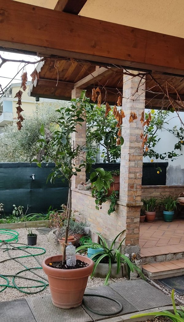 casa semindipendente in vendita a Pescara