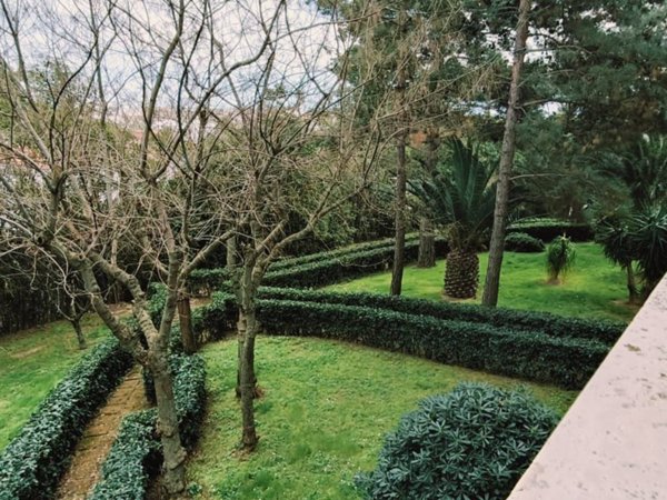 appartamento in vendita a Pescara in zona Ospedale