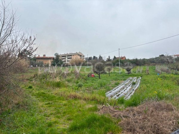 terreno agricolo in vendita a Pescara in zona Ospedale