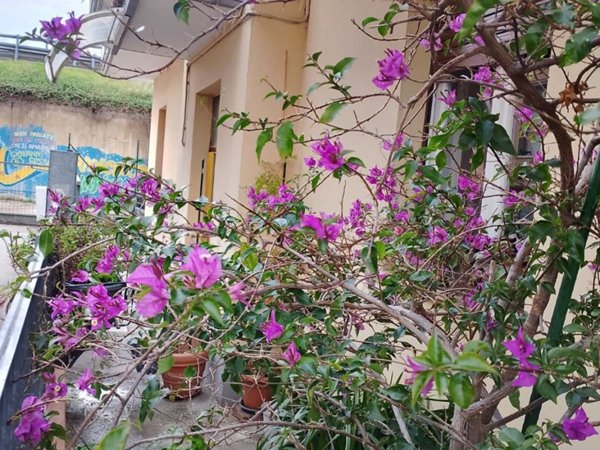 appartamento in vendita a Pescara in zona Porta Nuova