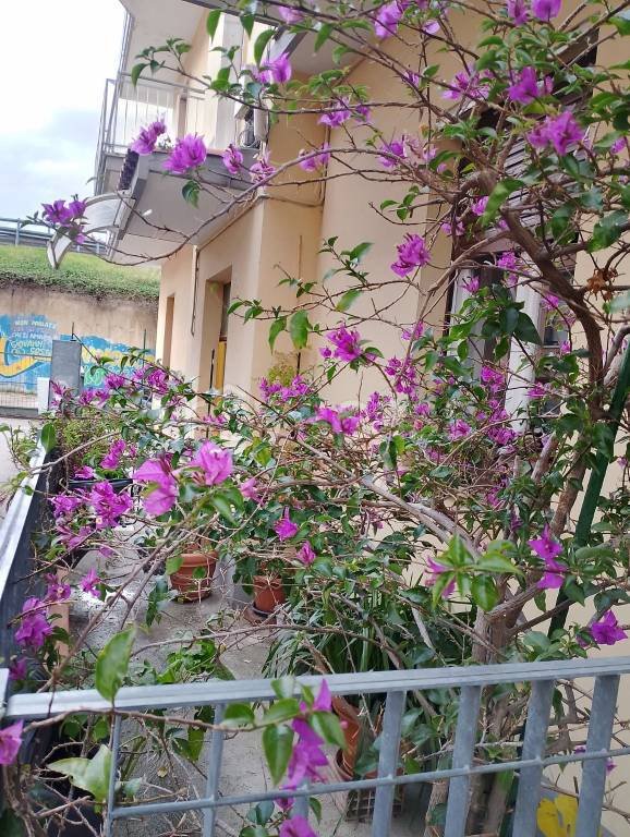 appartamento in vendita a Pescara in zona Porta Nuova