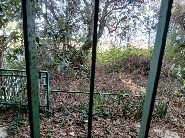 appartamento in vendita a Pescara