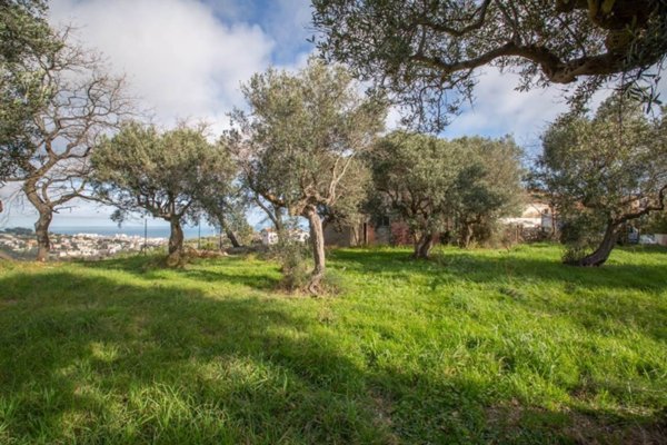 villa in vendita a Pescara in zona Castellammare