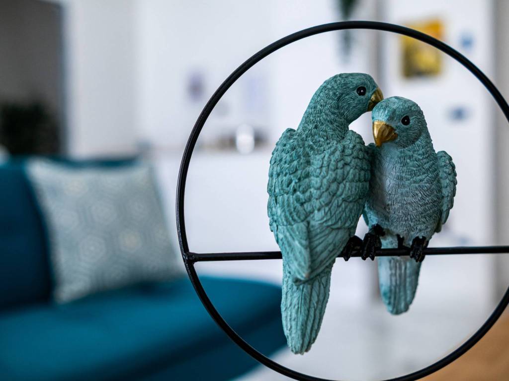 appartamento in vendita a Pescara