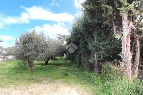 terreno agricolo in vendita a Pescara in zona San Silvestro
