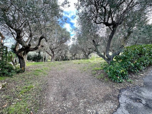 terreno agricolo in vendita a Pescara in zona Colle Scorrano