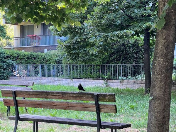 appartamento in vendita a Pescara in zona Ospedale