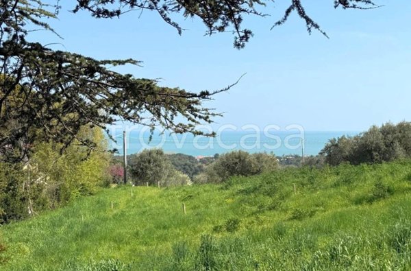 terreno agricolo in vendita a Pescara