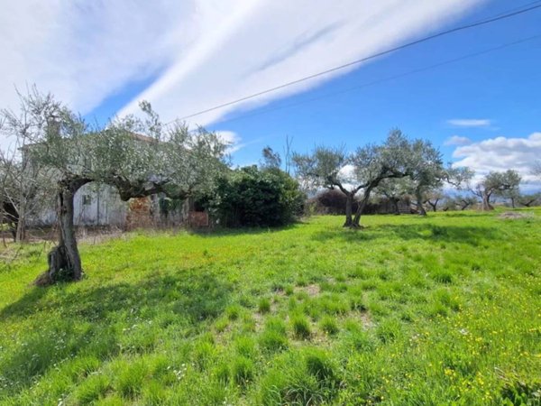 casa indipendente in vendita a Pianella