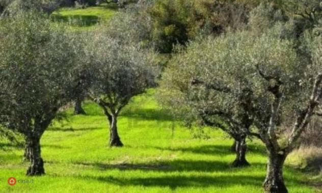 casa indipendente in vendita a Pianella