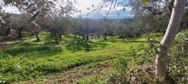 casa indipendente in vendita a Pianella