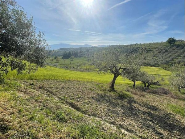 terreno agricolo in vendita a Pianella