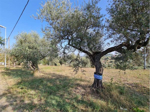 terreno agricolo in vendita a Pianella