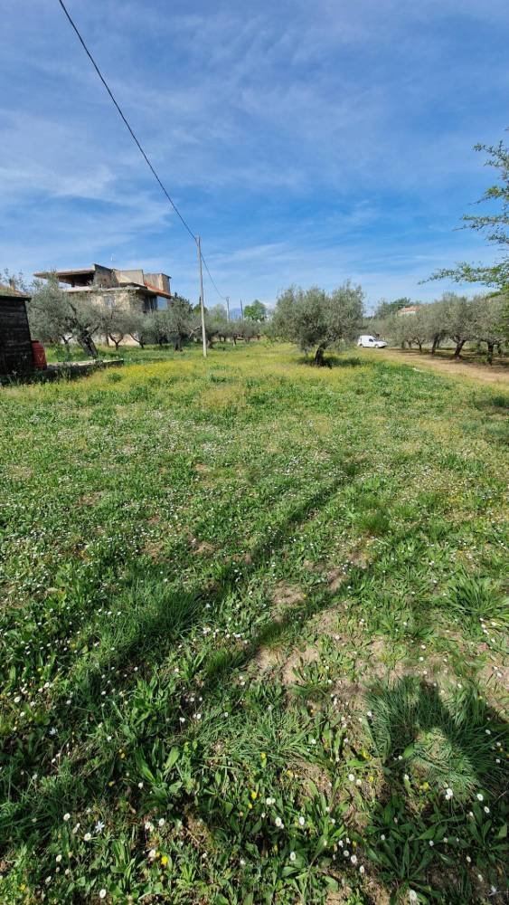 casa indipendente in vendita a Pianella