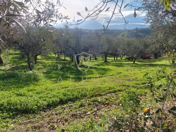 casa indipendente in vendita a Pianella