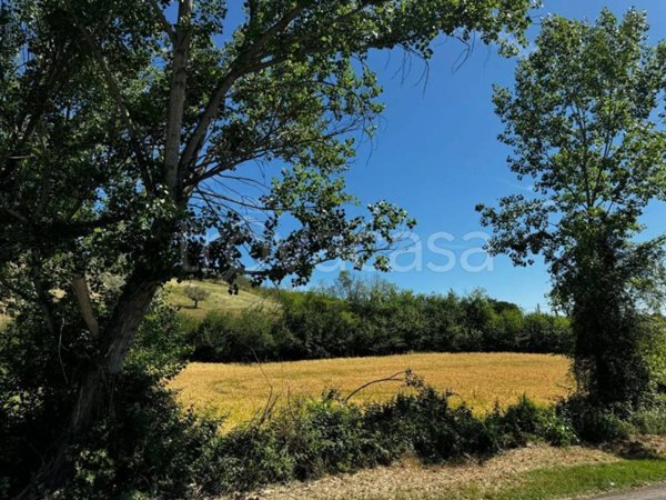 terreno agricolo in vendita a Pianella