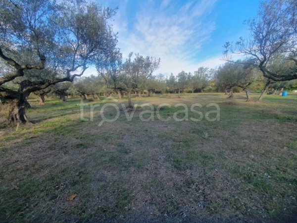 terreno edificabile in vendita a Pianella