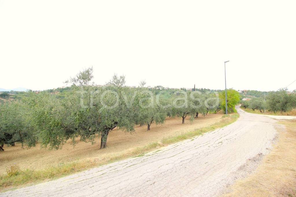 terreno edificabile in vendita a Pianella