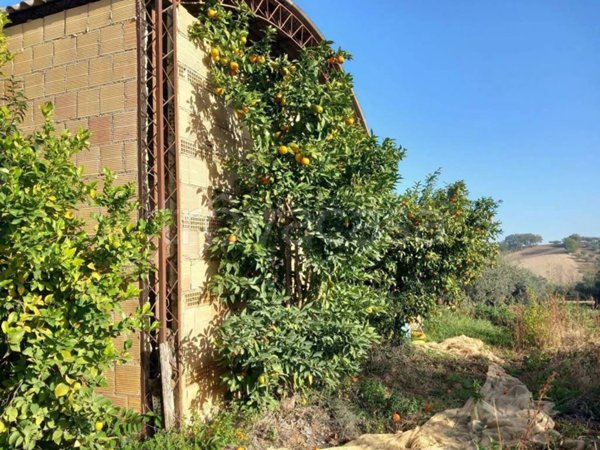 casa indipendente in vendita a Pianella