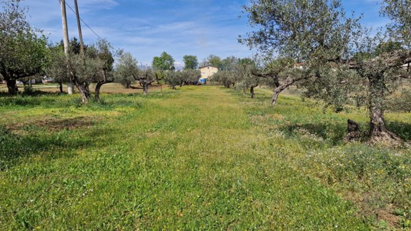 terreno edificabile in vendita a Pianella