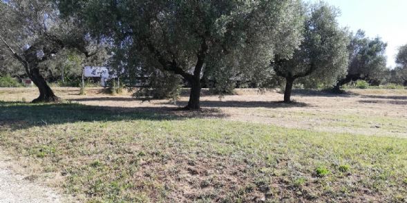 casa indipendente in vendita a Pianella in zona Cerratina