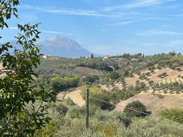 azienda agricola in vendita a Pianella