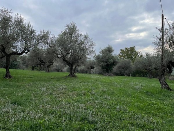 terreno agricolo in vendita a Pianella