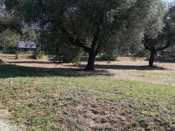 terreno edificabile in vendita a Pianella
