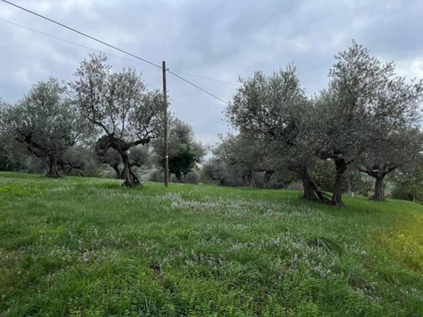 terreno edificabile in vendita a Pianella