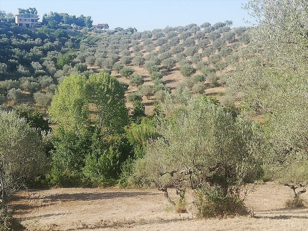 terreno agricolo in vendita a Pianella