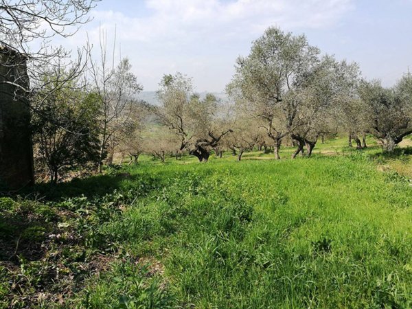 terreno agricolo in vendita a Pianella