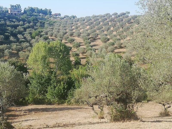 terreno agricolo in vendita a Pianella