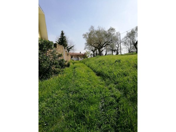 immagine annuncio 0 di 14