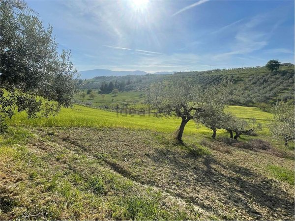 terreno edificabile in vendita a Pianella