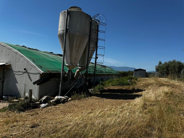 capannone in vendita a Pianella in zona Cerratina