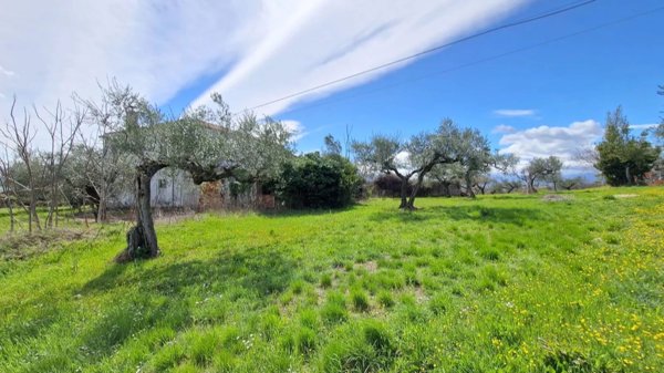 casa indipendente in vendita a Pianella