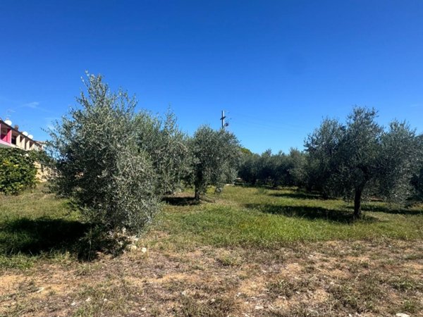 terreno edificabile in vendita a Pianella in zona Cerratina