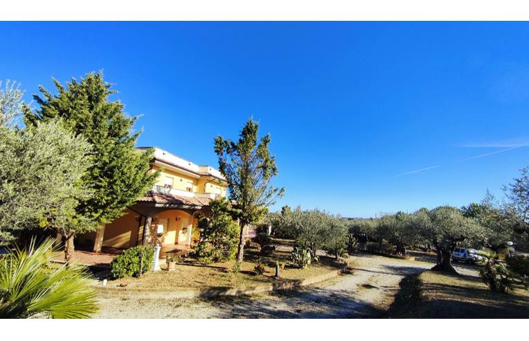 casa indipendente in vendita a Pianella