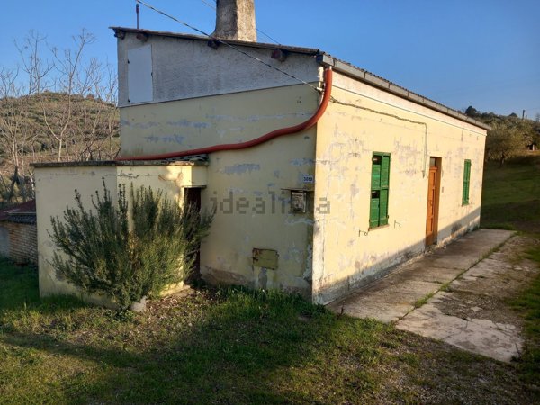 pentavano in vendita a Pianella