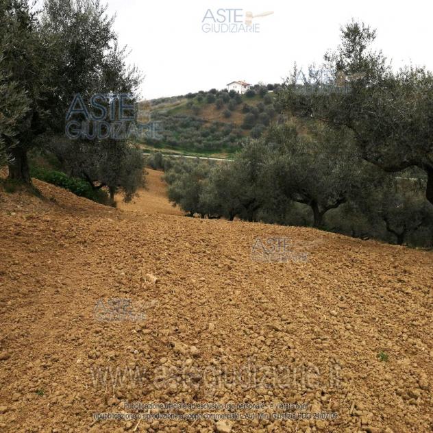 terreno edificabile in vendita a Pianella