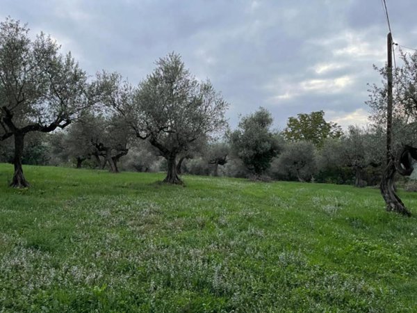 terreno edificabile in vendita a Pianella