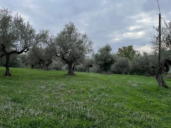 terreno edificabile in vendita a Pianella
