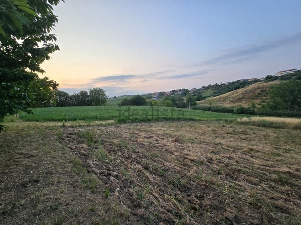 terreno agricolo in vendita a Pianella in zona Cerratina