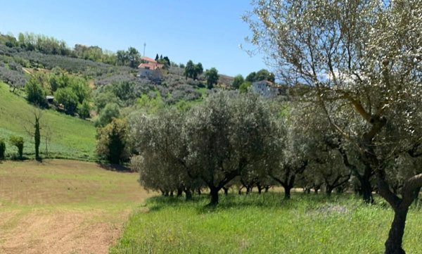 terreno agricolo in vendita a Pianella in zona Cerratina