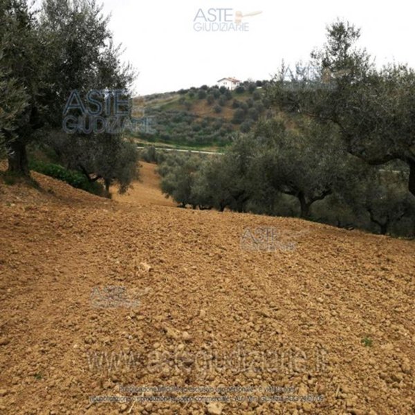 terreno edificabile in vendita a Pianella