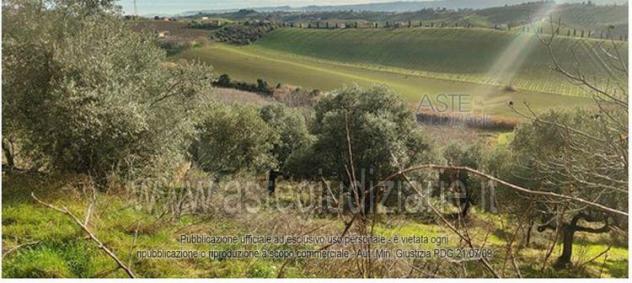 terreno edificabile in vendita a Pianella