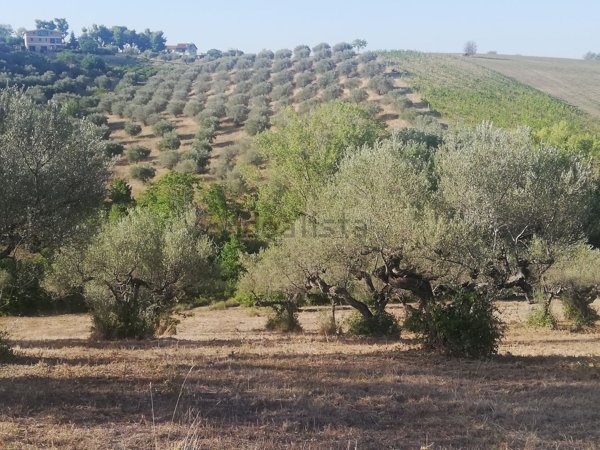 terreno in vendita a Pianella in zona Castellana