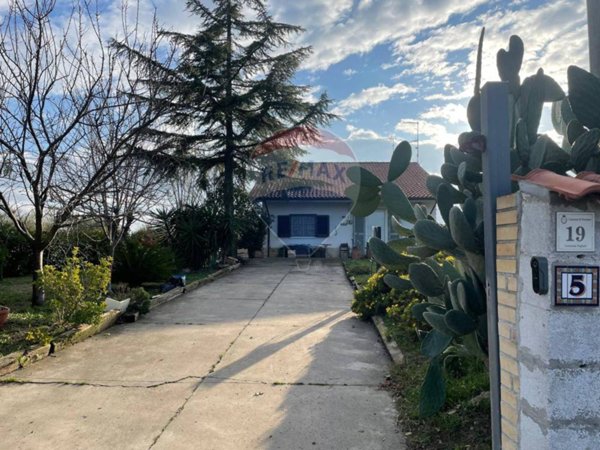 casa indipendente in vendita a Picciano in zona Pagliari