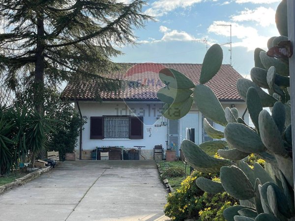 casa indipendente in vendita a Picciano in zona Pagliari